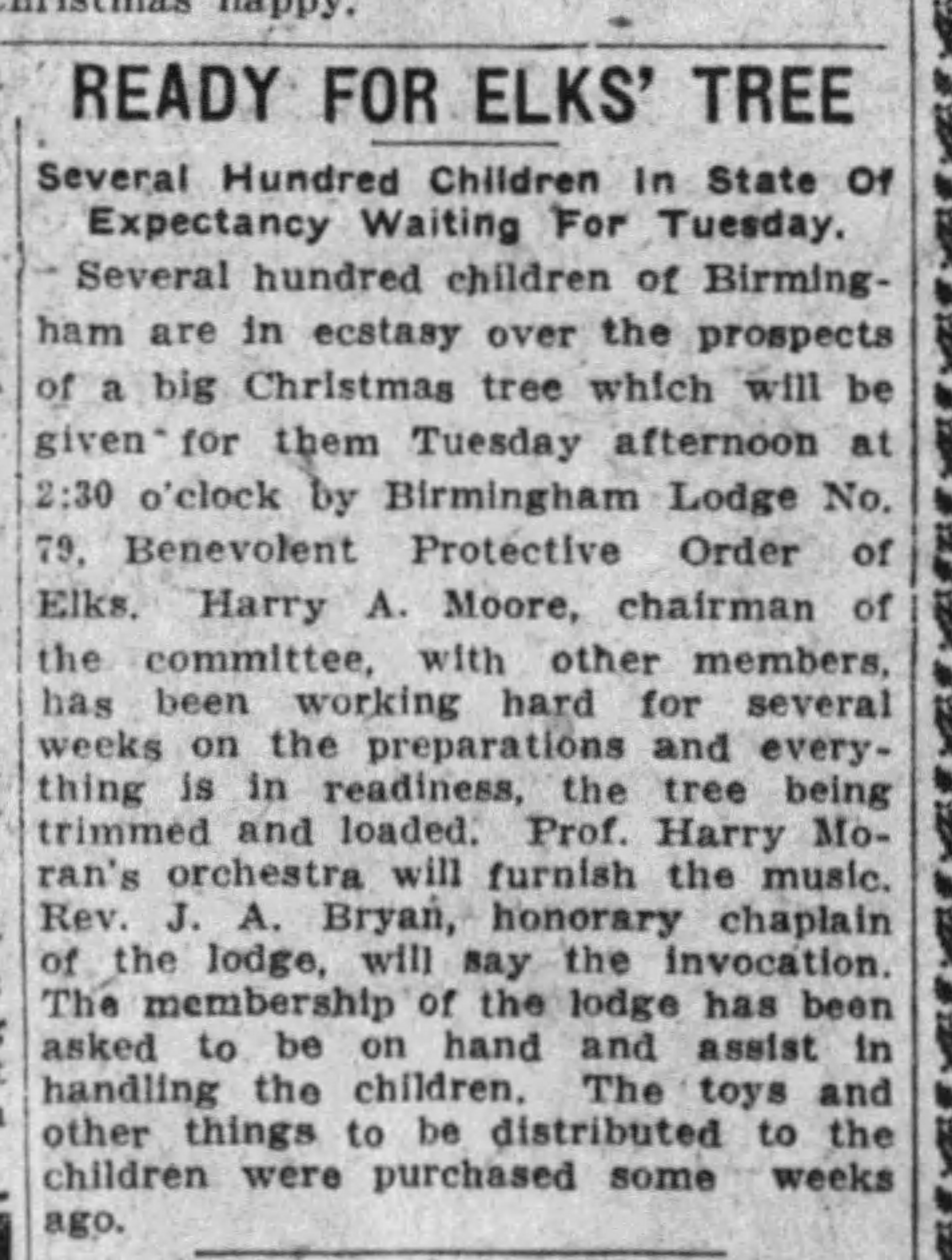 Ready for Elk's Tree